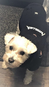 Muttallica Dog Hoodie